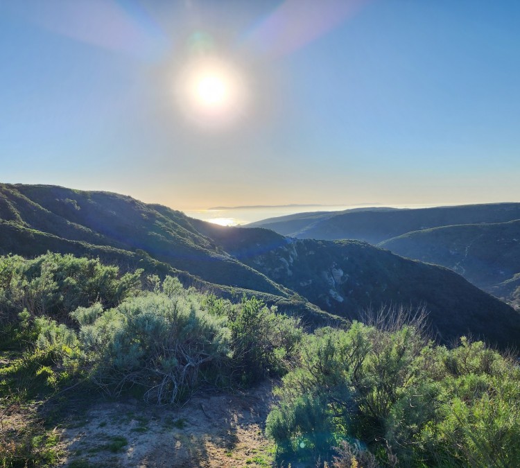 Aliso and Wood Canyons Wilderness Park (Aliso&nbspViejo,&nbspCA)